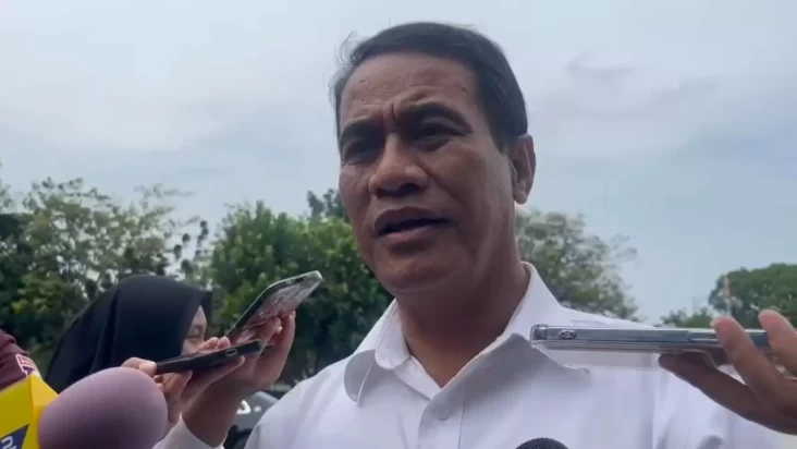 Harga Pangan Awal Ramadan, Mentan: Harga Beras Turun, Cabai Naik