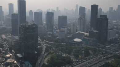 Makin Suram, OECD Pangkas Proyeksi Bidang Bisnis Indonesia Jadi 4,9% pada 2025