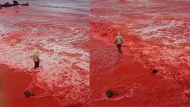 Pantai di dalam di Iran Tiba-tiba Berubah Warna Menjadi Merah Darah