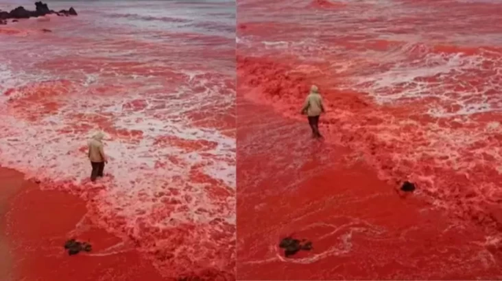 Pantai di dalam di Iran Tiba-tiba Berubah Warna Menjadi Merah Darah