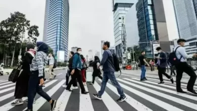 PHK Menyangkut Urusan Perut Ribuan Orang, eksekutif Harus Bergerak Kilat