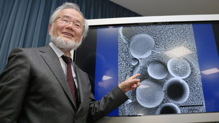 Profil Yoshinori Ohsumi, Peneliti Negeri Matahari Terbit yang mana dimaksud Mendapat Nobel setelahnya Meneliti Manfaat Puasa