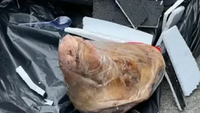 Teror Kepala Babi dan juga Bangkai Tikus ke Tempo, Iwakum: Kebebasan Pers Sedang Terancam