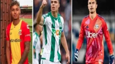 Tok! Paripurna DPR Sahkan Naturalisasi Emil Audero, Joey Mathijs Pelupessy, kemudian Dean Ruben James