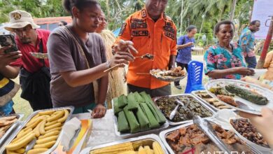 Menyukseskan inisiatif MBG melalui penguatan pangan lokal di Papua