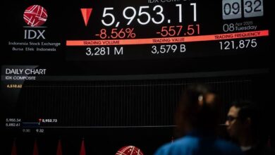 Hal ini alasan kenapa nilai saham fluktiatif & bagaimana tips investasinya