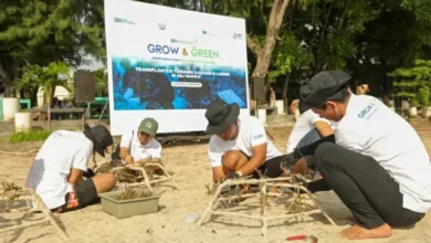 BRI Menanam Grow & Green Transplantasi Terumbu Karang, Selamatkan Ekosistem Laut pada NTB