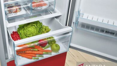 Sederet makanan yang tersebut digunakan sebaiknya tak disimpan di “freezer”