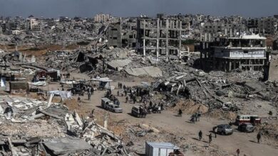 FAO peringatkan Wilayah Daerah Gaza terancam kelaparan kemudian sektor pertanian hancur